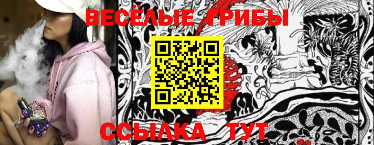 Галлюциногенные грибы Cubensis  Вход с VPN  Галлюциногенные грибы Psilocybine cubensis  Долгопрудный 
